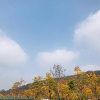 ĳ��˾��չ�人��˾�Ž���Ƽ�Ȥζ+����ʽ��һ��