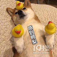 ���ҳ�PK̨������������ҵ���ҳ����Ƿ�Ӧ���ƹ��أ�