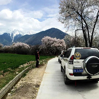 ����16�꣬��������˫����������