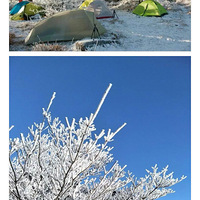 12.31-1.1嶥һ߷壬һʡУ