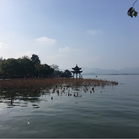 �ƺ����ġ�����