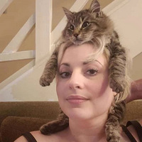 ����˵�ҵ�è���������ž���ͷ�ˡ�