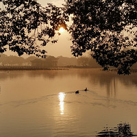 ����ů��