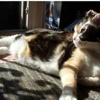 è����ڹ�͵ġ�ĸ��������������ʮ�����ѡ�