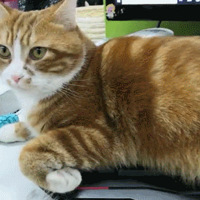 ������è��������Ϊ��˵���������������ȡ���㣡