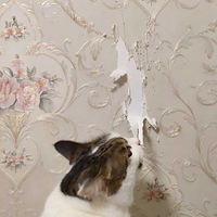 ��è�ļ�ͥ����������ֽ��