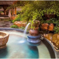 �����129Ԫ����Ȫ| 2020.1.1���²ɲ�ݮ�����������Ȫ֮��