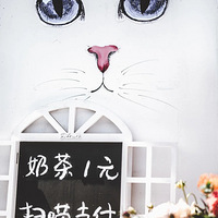 ������2���Σ���������ͧ���̲��һ�ι��룡| ��ʵ����