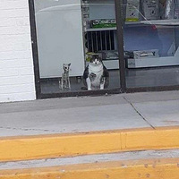 ���è�����ַ�ʽ���ݡ���˿��Ϯ������������������Ҳ�д��죡