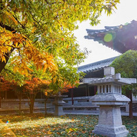 Ʒ����Ǩ֮�������Զ���֮���ã�