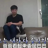 ë˰ŮȴƻѣĻdog