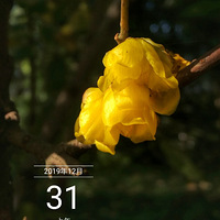 ÷��ϲӭ�´�