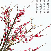 ֪ ݳɽѧ---߽ɽ Ʒʫʶ÷