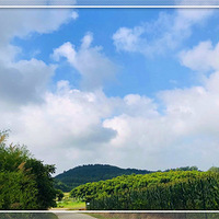 ����ܱ�Ա�����ι�����ô����гԻ�ԶԶ����