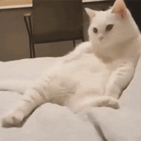 12ֻèѡһ����������2020ȫ���������׼����