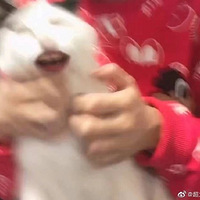 ��ʺ�ٰ��컻��è���ϣ������Ļ��磬��ֱЦʺ��