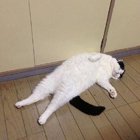 ʲô�з�è������ǽ�����˴���ȫ���������޹أ�