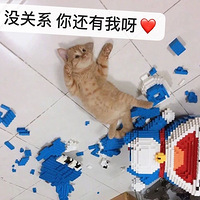 è��������˸�ƴ�õĻ�ľ��ߣ�ԭ���ǡ���