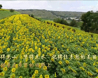 ����������߹������· | �ر��ע