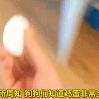 �����˺������˶Դ������������ӣ��������к�ů�е����𡣡���