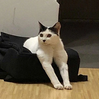 èè�ʹ����ȭ�������棬���治һ��˭��˭Ӯ��