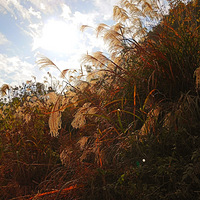 ������ɽ�β���