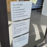 ��������è�ܻ�װ������ʳ������ֻ���������Ѹ����£�����ƭ��