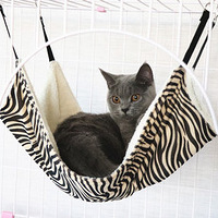 �ձ�������è���˸�����������������еĲ�̫һ������