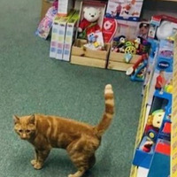 ��èÿ�����������ţ�������·��ż����ԭ����Ѿ������죡