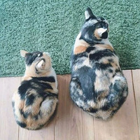 ����ͬһ��������׽��ã����ų��š�������զ�Ͳ�һ�����أ�