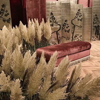 ����¬�����������飡�������ůС�Ļ������ҷ����ˣ�