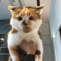 �����ù���ȥ�������ȣ����һ˲���ֻʣһ�������Ѳ����ˣ�