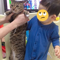 ���èè�����ߣ����࣬�������ˡ�