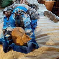 �������������Դ���������ֻè��Ȼ�����������£�