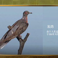 ��ˮ�д���è�����������������ɲ����ĳ���������������������