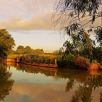 ���������⡪��������