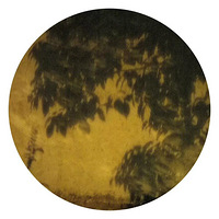 ҹ����ǽ����Ӱ��涣��������˵���