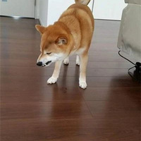 ̰Բ͵ԿϸɿɱԺٲ͵ˣ