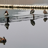 ���ɽ����