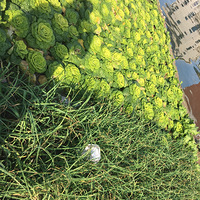 ·���洦�ɼ��Ĳ˵�