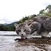 ʷ�����Ͼ������� ����һ�ľ��Ǵ�Ƭ