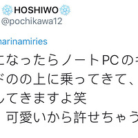 ��ֻС��è����ȡů�����ӣ��Ȼ���33�����ѵ��ġ�