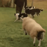 ʲôӣЦʺˣ