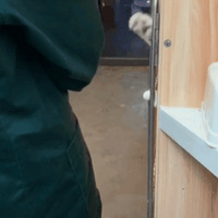 ���裡��ֻè�ܰ����ҡ���