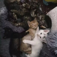 �谮��ʲô��