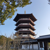 �߹������