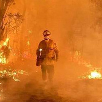 �����4���£�һ�������������һ�����������ţ�����ȴ�����ڶ�