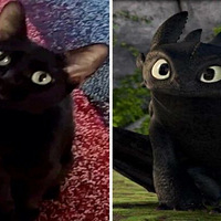 ��ֻ��è�ߺ��ˣ���Ȼ����ӵ�и��������ġ��ذ��족С�°ͣ�