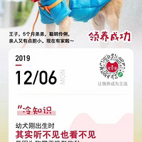 2019�꣬���ǰ���14,428ֻë�����ҵ��˼ң�