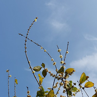 Ǯ��������